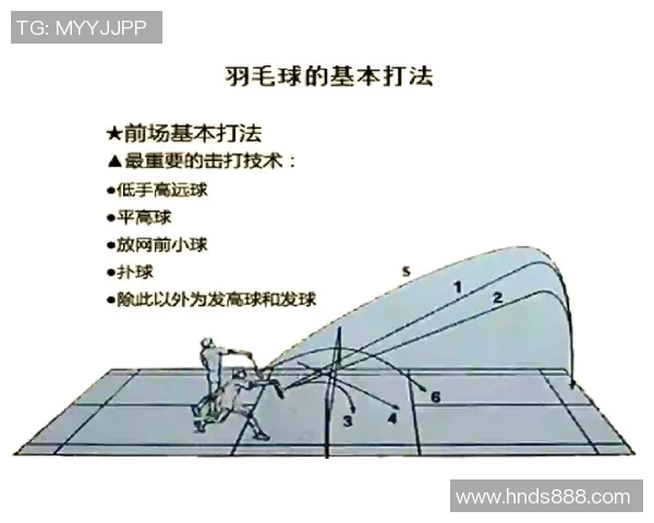 杭州羽毛球队的战术解析与转换体系探讨